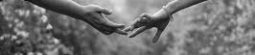Within Reach
