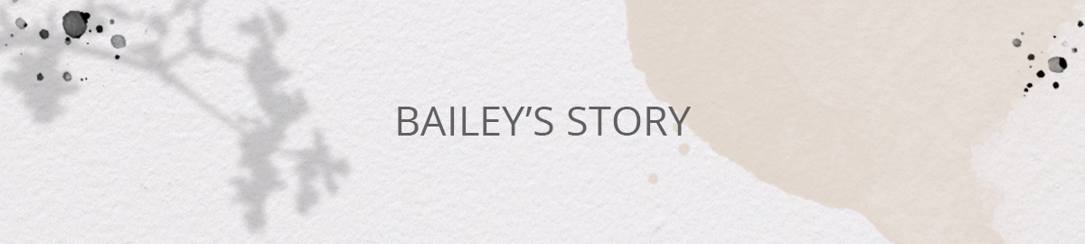 ba_stories_header_bailey